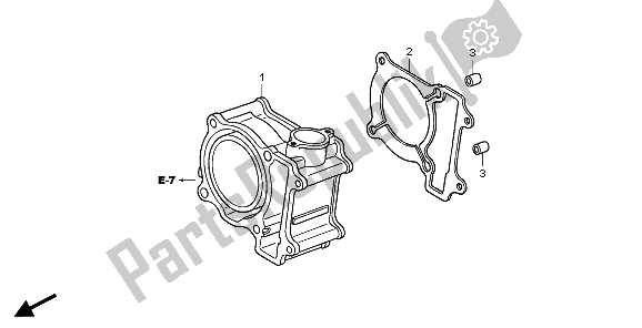 All parts for the Cylinder of the Honda PES 150 2007