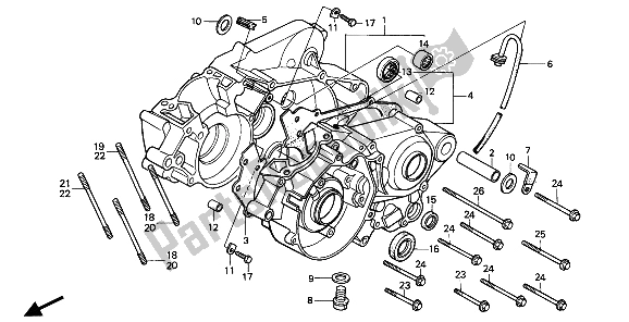 All parts for the Crankcase of the Honda CR 80R 1986