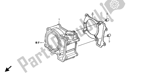 All parts for the Cylinder of the Honda SH 150 2006