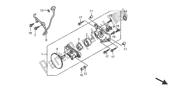Tutte le parti per il Pompa Dell'olio del Honda TRX 300 EX Fourtrax 2005