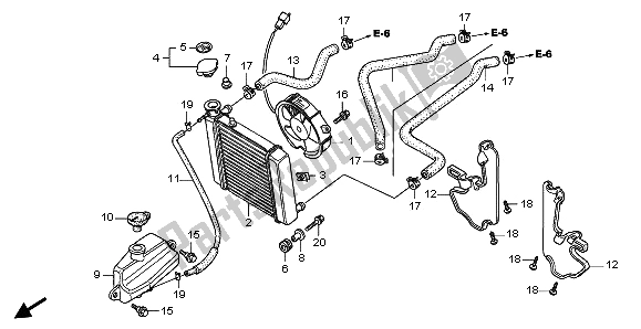 All parts for the Radiator of the Honda FES 125 2006