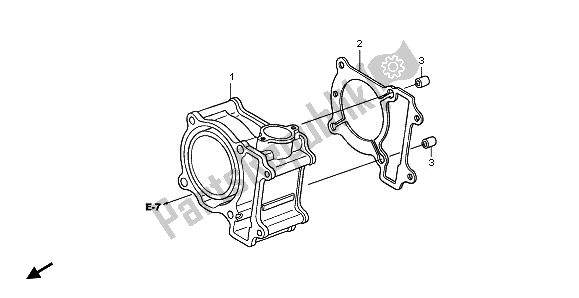 All parts for the Cylinder of the Honda SH 125 2011