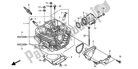All parts for the Cylinder Head of the Honda CRF 125F SW 2014