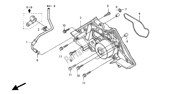 All parts for the Water Pump of the Honda ST 1100A 2000