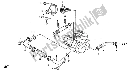 Alle onderdelen voor de Waterslang van de Honda VT 125C 2008