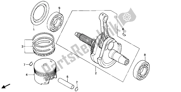 All parts for the Piston & Crankshaft of the Honda XBR 500 1986