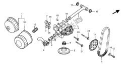 OIL FILTER & OIL PUMP