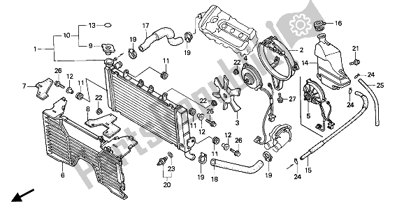 All parts for the Radiator of the Honda CBR 600F 1994