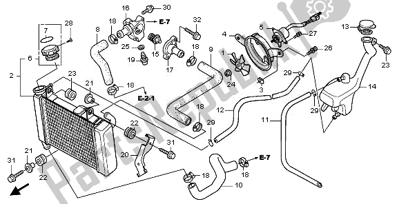 Alle onderdelen voor de Radiator van de Honda CBR 125 RW 2010