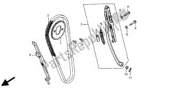 cadena de levas y tensor