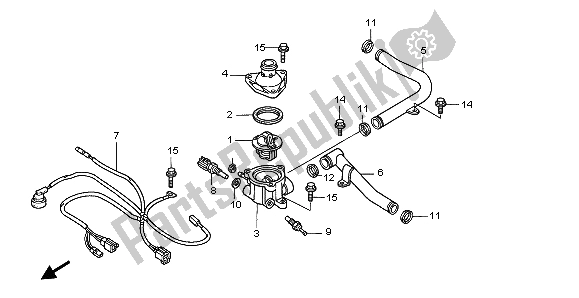 All parts for the Water Pipe & Thermostat of the Honda GL 1500C 1999