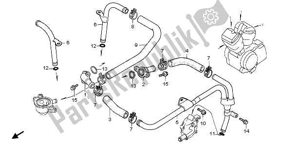 Alle onderdelen voor de Waterpijp van de Honda VT 1100C 1995