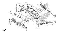 CAMSHAFT & VALVE