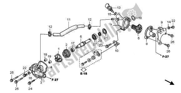 All parts for the Water Pump of the Honda SH 125S 2011