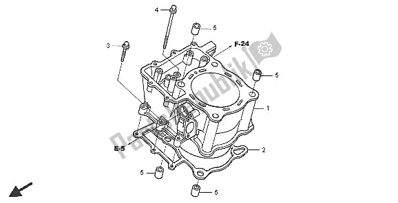 Tutte le parti per il Cilindro del Honda TRX 650 FA Fourtrax Rincon 2005