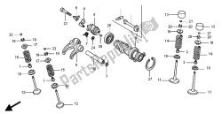 CAMSHAFT & VALVE