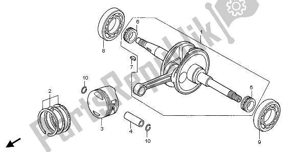 All parts for the Crankshaft & Piston of the Honda SH 150 2008