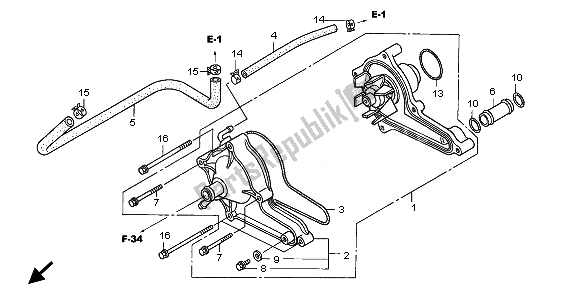 All parts for the Water Pump of the Honda TRX 500 FA Fourtrax Foreman Rubicon 2008