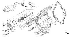 RIGHT CRANKCASE COVER & WATER PUMP