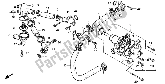 All parts for the Water Pump & Water Pipe of the Honda RVF 750R 1995