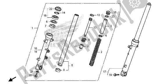 All parts for the Front Fork of the Honda NC 700 SA 2013