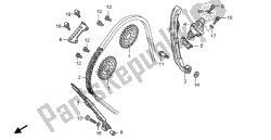 cadena de levas y tensor