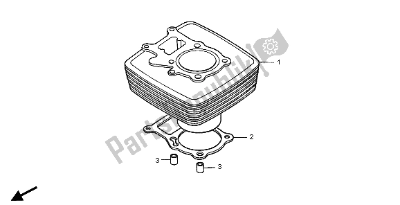 All parts for the Cylinder of the Honda TRX 250 EX Sportrax 2007