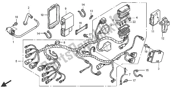Tutte le parti per il Cablaggio del Honda TRX 650 FA Fourtrax Rincon 2005