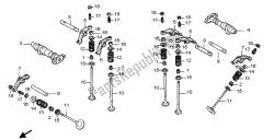 árbol de levas y válvula