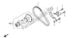 CAM CHAIN & TENSIONER