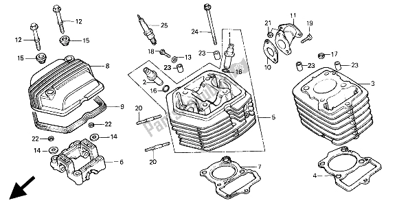 All parts for the Cylinder Head & Cylinder of the Honda XR 80R 1994