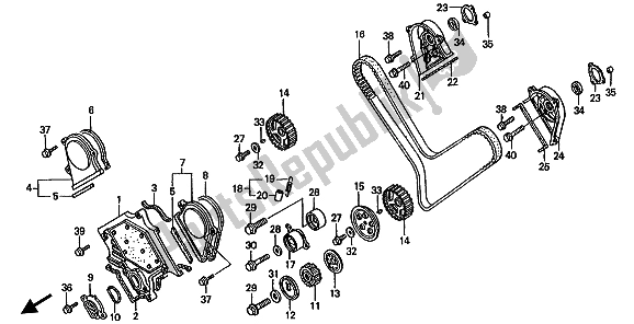 Todas las partes para Cubierta Frontal Y Correa De Distribución de Honda ST 1100 1991