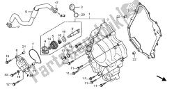 RIGHT CRANKCASE COVER & WATER PUMP