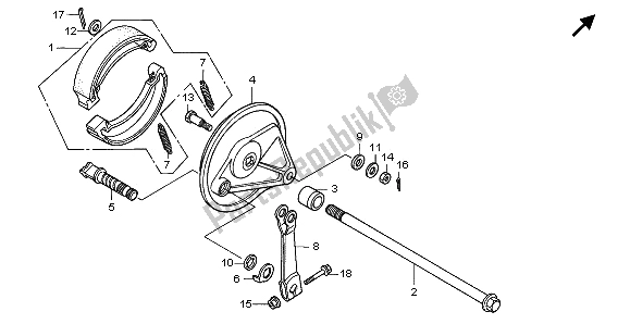 All parts for the Rear Brake Panel of the Honda CB 250 1996