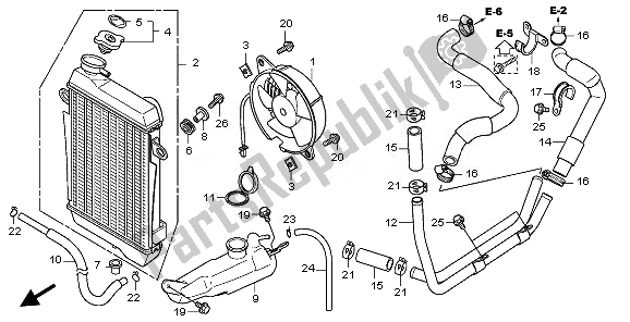 All parts for the Radiator of the Honda SH 300A 2011