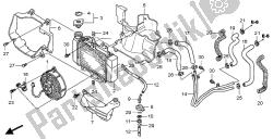 termosifone