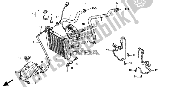 All parts for the Radiator of the Honda FES 125 2012