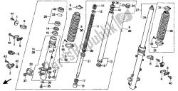 forcella anteriore