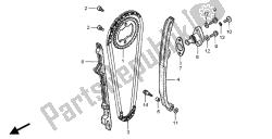 CAM CHAIN & TENSIONER