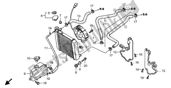 All parts for the Radiator of the Honda FES 150A 2007