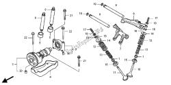arbre à cames et soupape