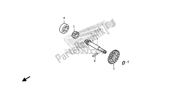 Tutte le parti per il Pompa Dell'olio del Honda CRF 150R SW 2013