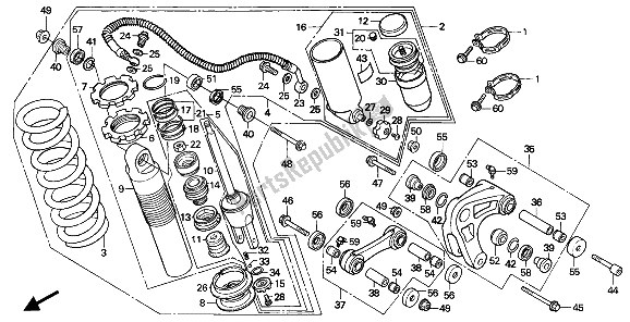 Todas las partes para Cojín Trasero de Honda XR 250R 1987