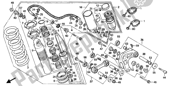 Todas las partes para Cojín Trasero de Honda XR 250R 1987