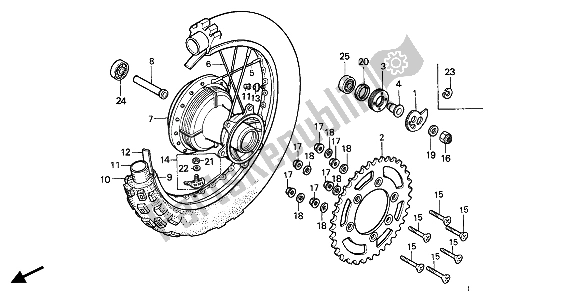 Toutes les pièces pour le Roue Arrière du Honda XR 600R 1985