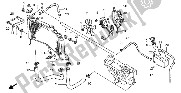 All parts for the Radiator of the Honda CBR 900 RR 1997