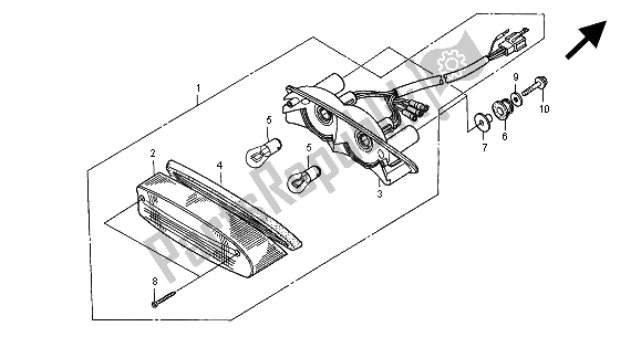 All parts for the Taillight of the Honda CB 600F2 Hornet 2000