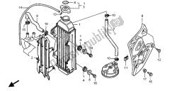 termosifone