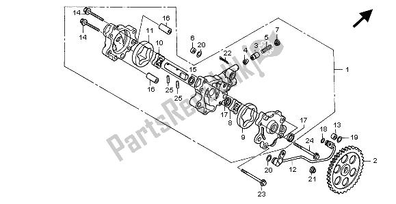 Todas las partes para Bomba De Aceite de Honda NX 650 1996