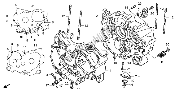 Tutte le parti per il Carter del Honda TRX 500 FA Fourtrax Foreman 2003